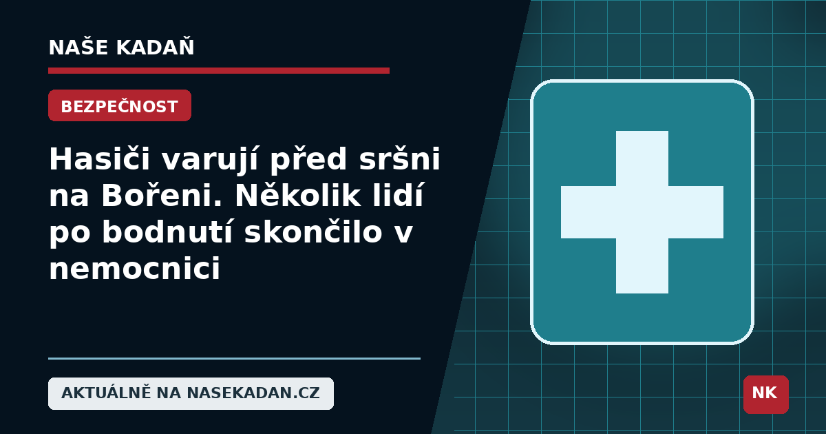 Redakční grafika Naše Kadaň k článku Hasiči varují před sršni na Bořeni. Několik lidí po bodnutí skončilo v nemocnici